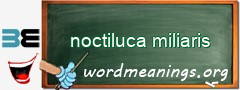 WordMeaning blackboard for noctiluca miliaris